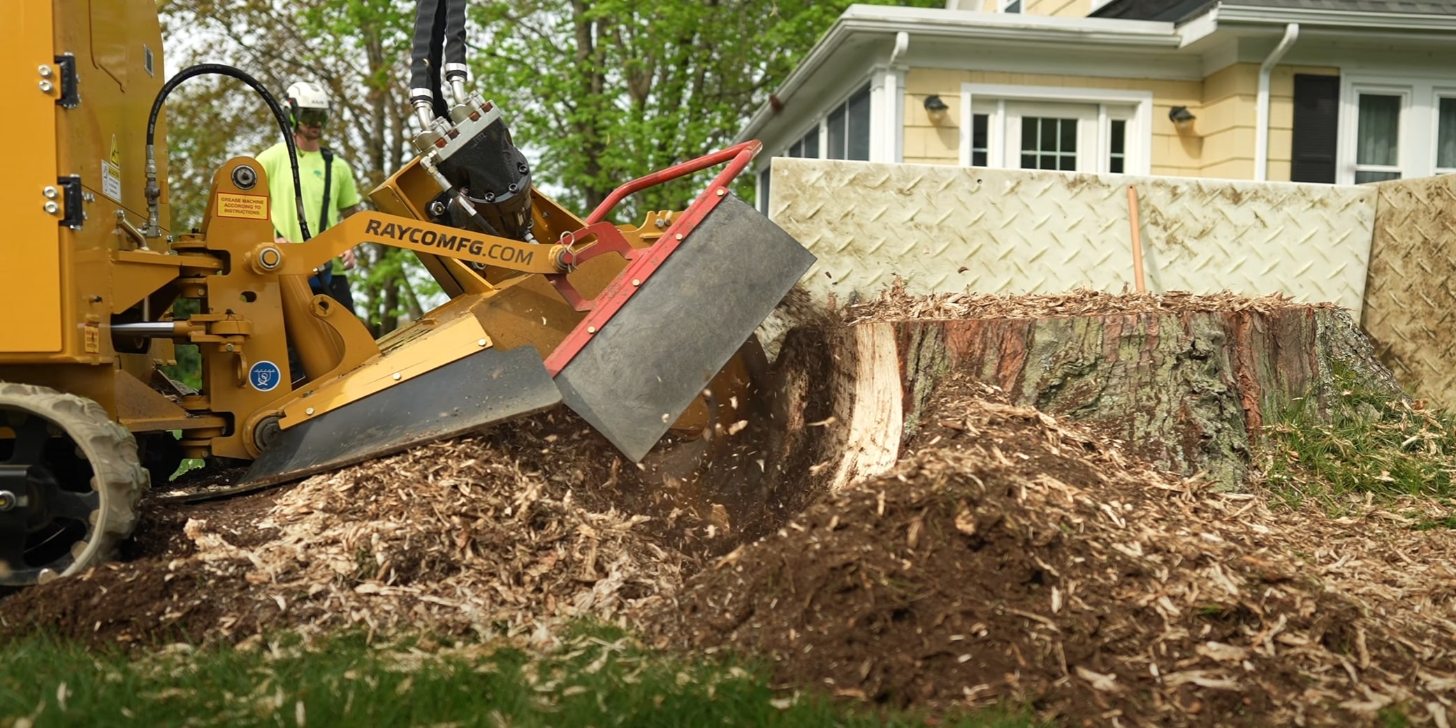 Stump grinding and removal services in Kirkland, WA